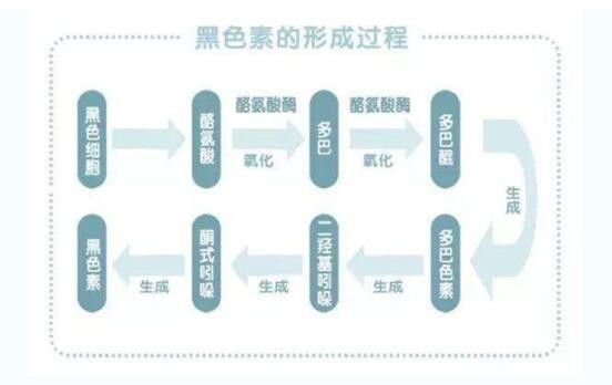 Noblemate诺培美白芙丸：天然健康饮食开启美白新纪元